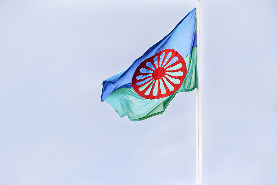 En flagga vajar in vinden. Flaggan har en blå ovandel och grön nederdel och ett rött mönster i mitten.