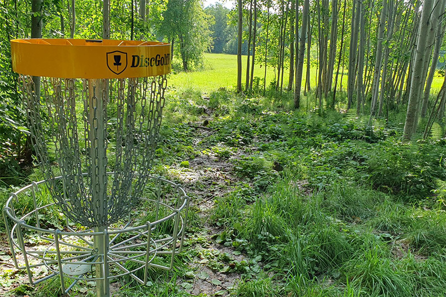 En discgolfkorg i metallgrå färg med gult upptill som står i en skogsdunge.