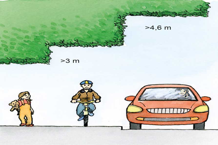 Illustration av häckar mer rätt mått intill gata.