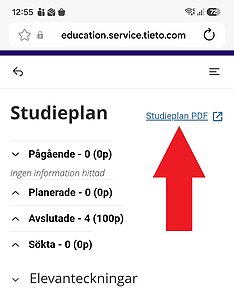 Bild med röd pil som pekar mot rubriken Studieplan PDF