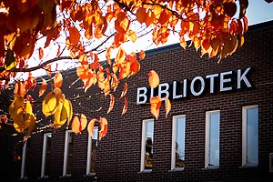 Ett tennisrack i närbild. Framför ligger en tennnisboll. 